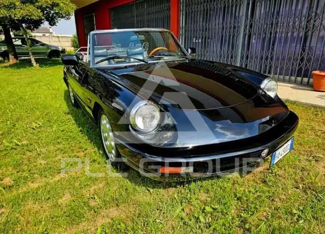 1993 Alfa Romeo Spider