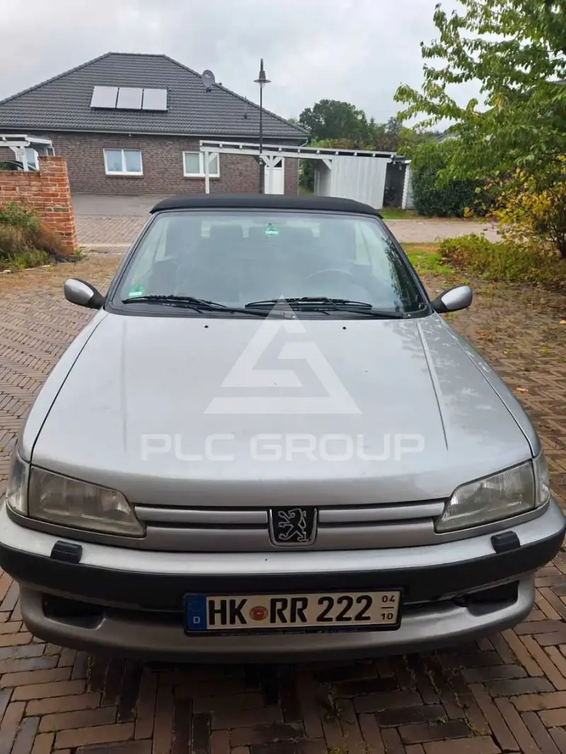 1995 Peugeot 306