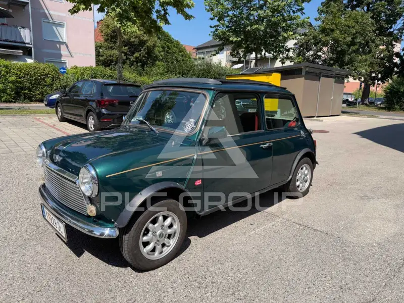 1995 Mini Unknown