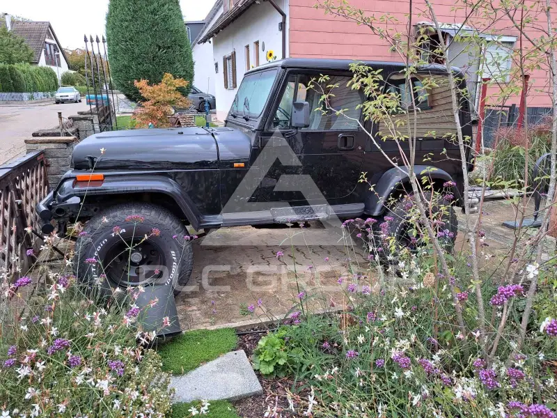 1996 Jeep WRANGLER