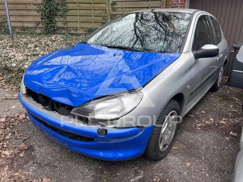 2000 Peugeot 206