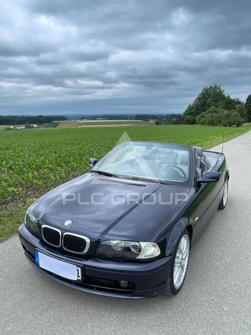 2002 BMW 318