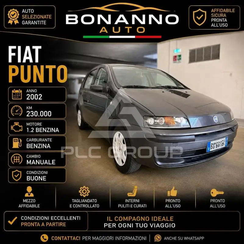 2002 Fiat Punto