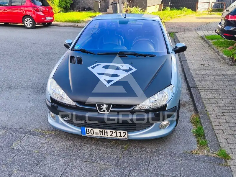 2002 Peugeot 206