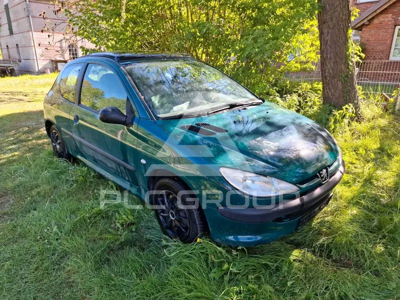 2002 Peugeot 206