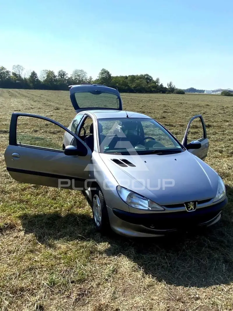 2002 Peugeot 206