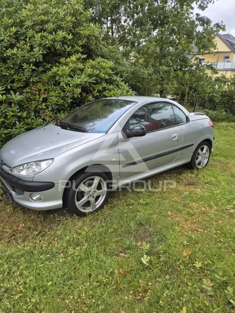 2002 Peugeot 206