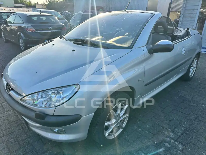 2002 Peugeot 206
