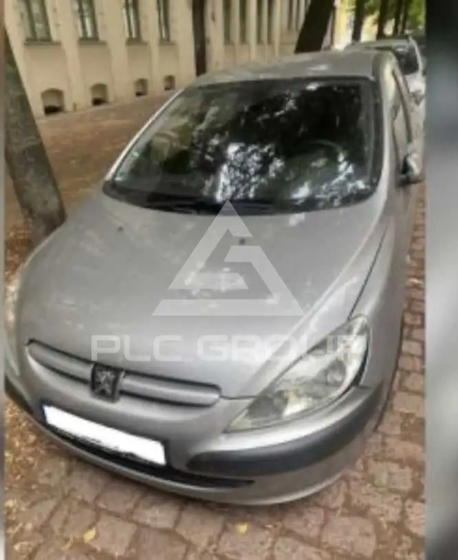 2002 Peugeot 307