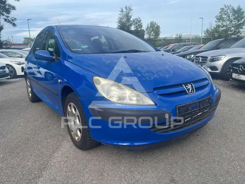 2002 Peugeot 307