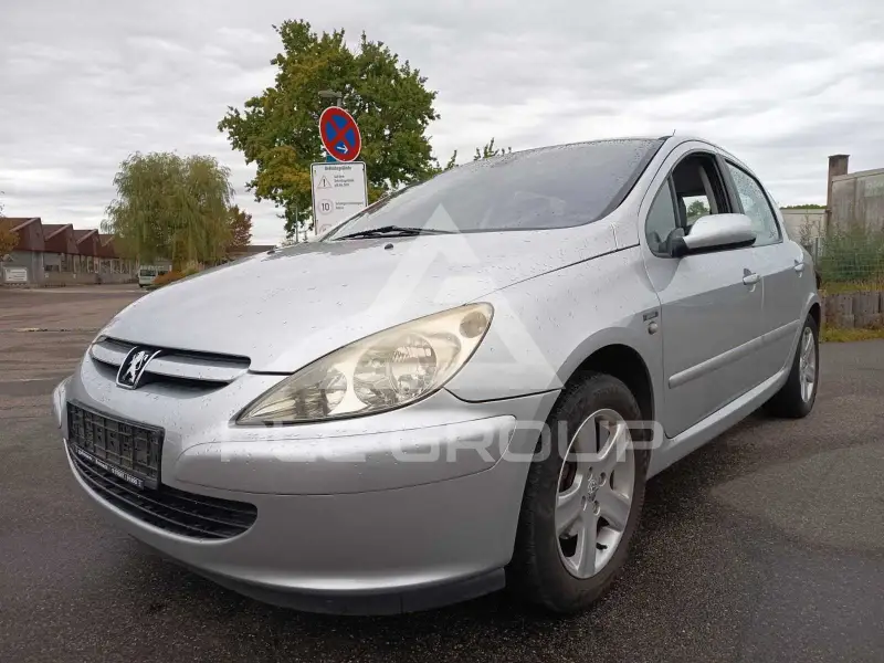 2002 Peugeot 307