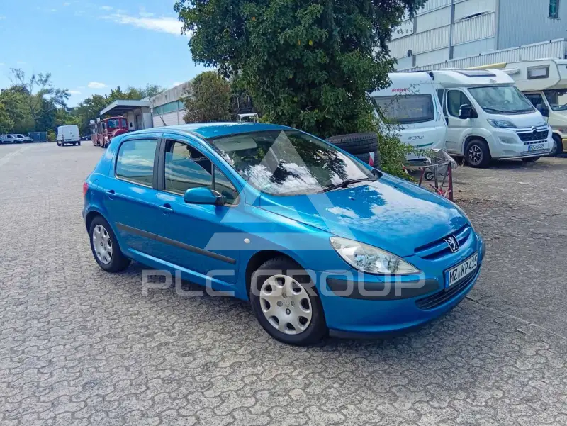 2002 Peugeot 307