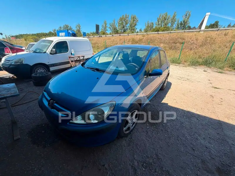 2002 Peugeot 307