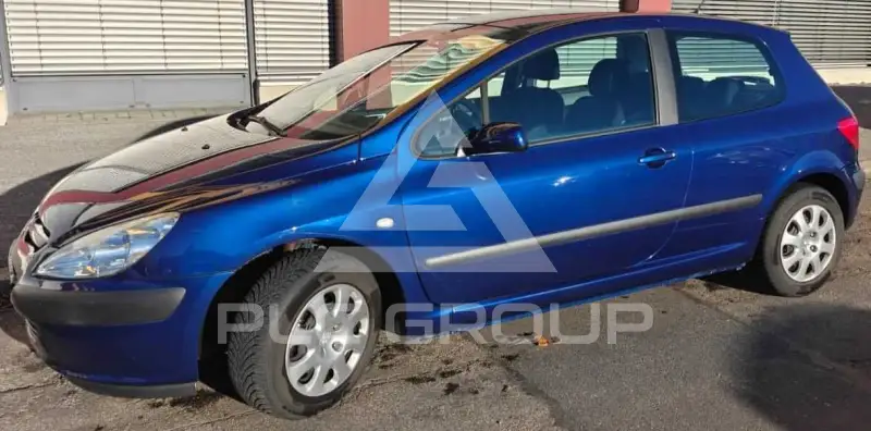 2002 Peugeot 307
