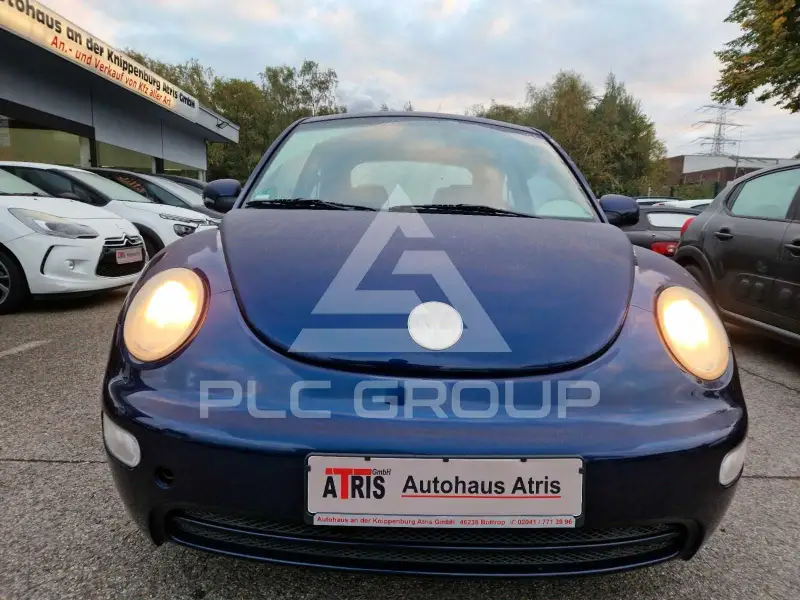 2002 Volkswagen BEETLE