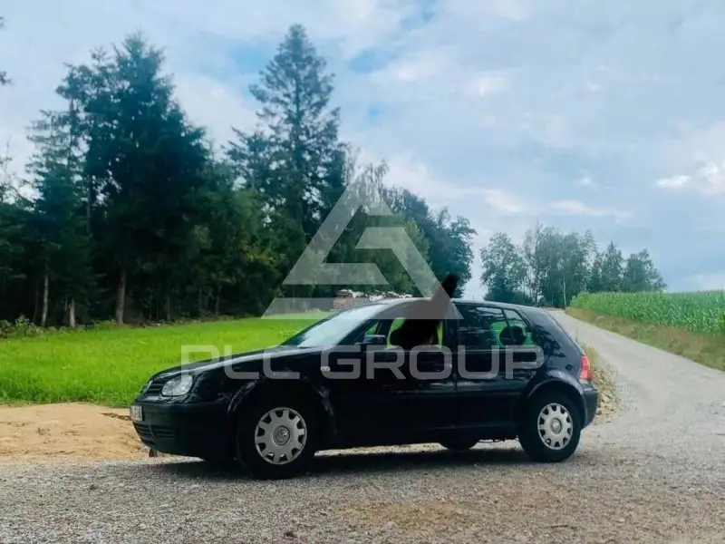 2002 Volkswagen GOLF