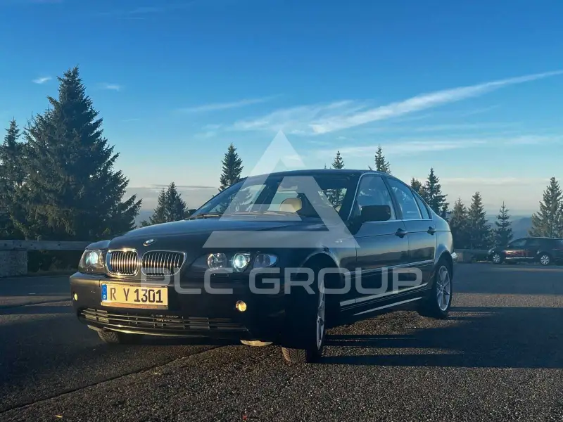 2003 BMW 318