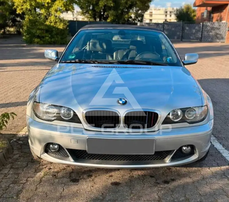 2003 BMW 318