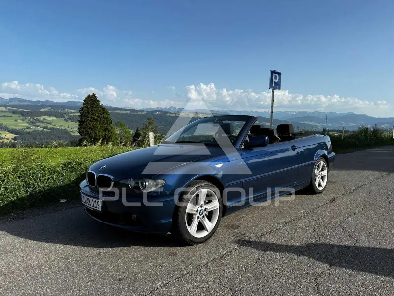 2003 BMW 318