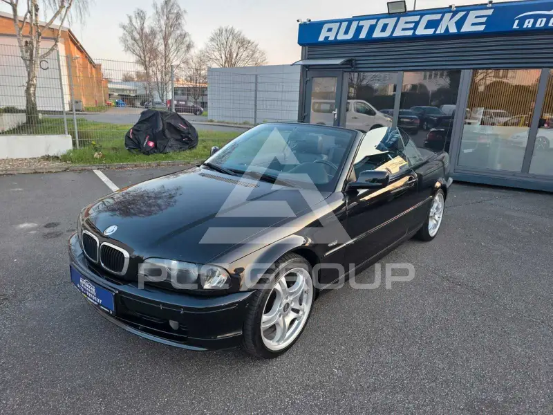 2003 BMW 318