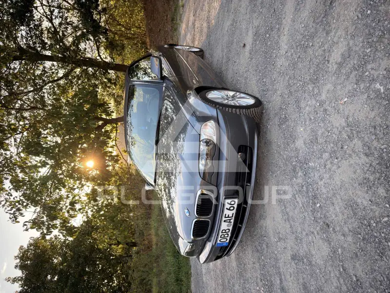 2003 BMW 318