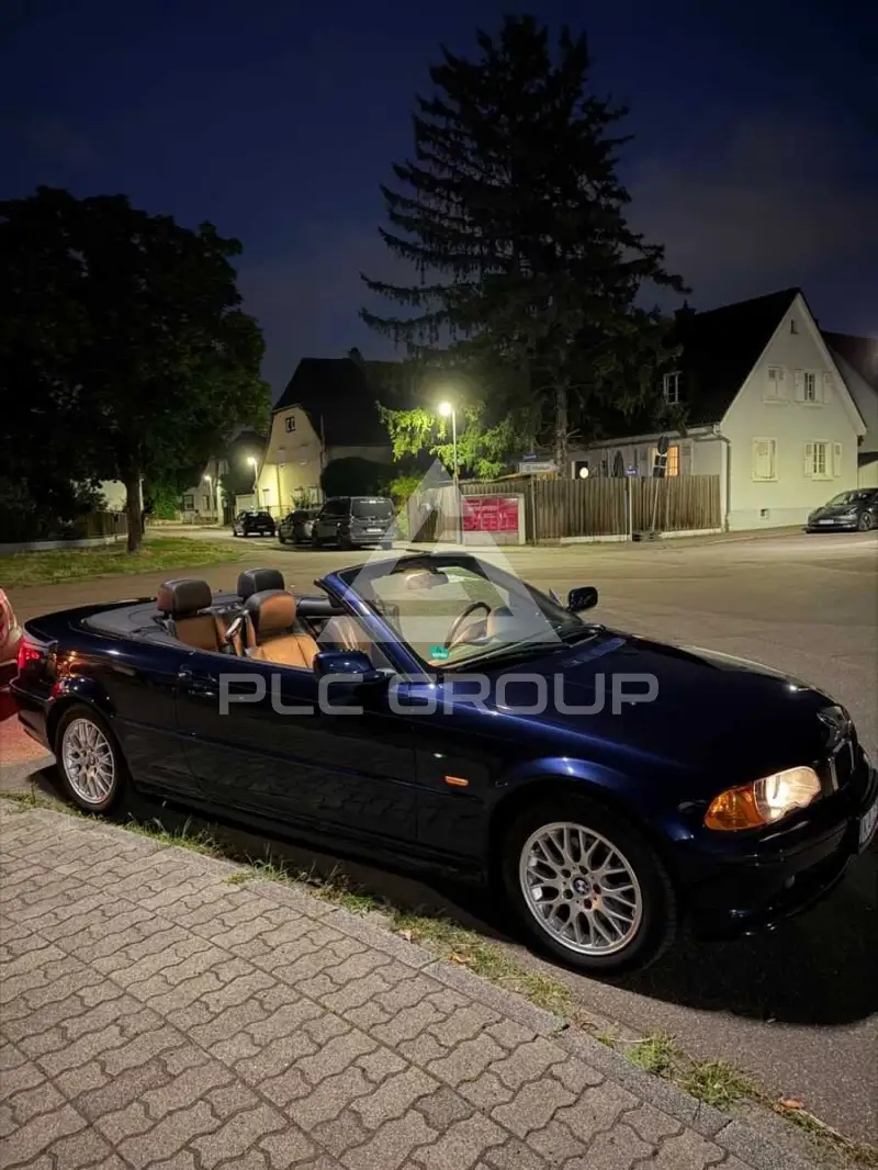 2003 BMW 318