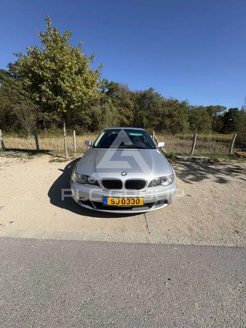 2003 BMW 318