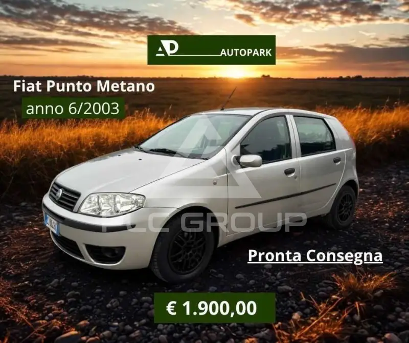 2003 Fiat Punto