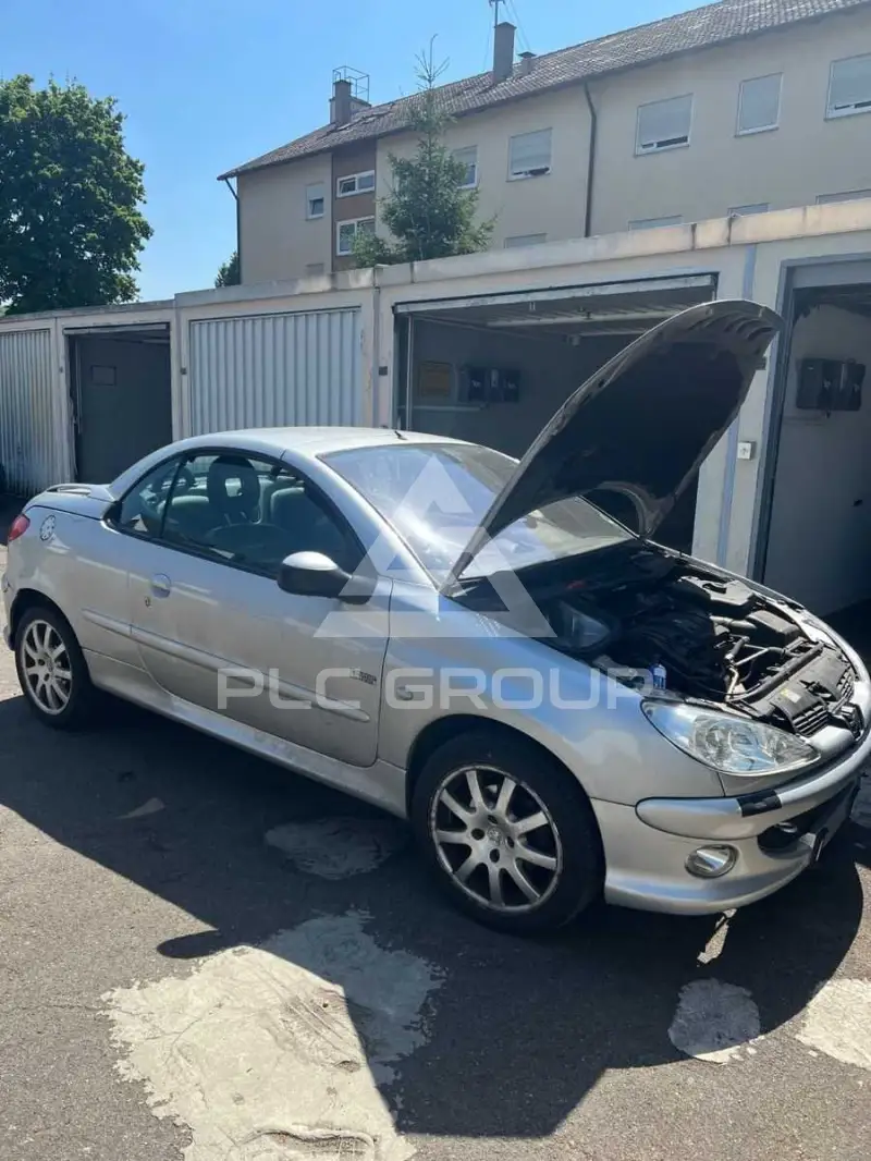 2003 Peugeot 206