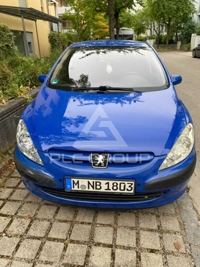 2003 Peugeot 307