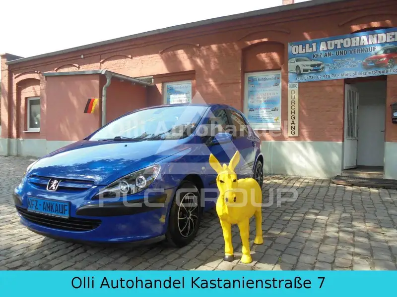 2003 Peugeot 307
