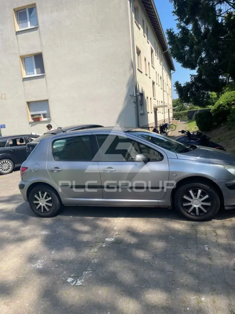 2003 Peugeot 307