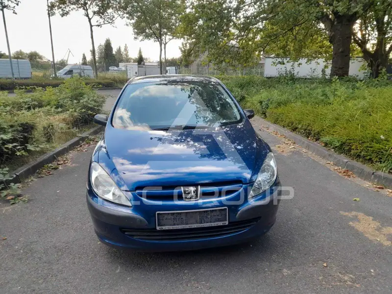 2003 Peugeot 307