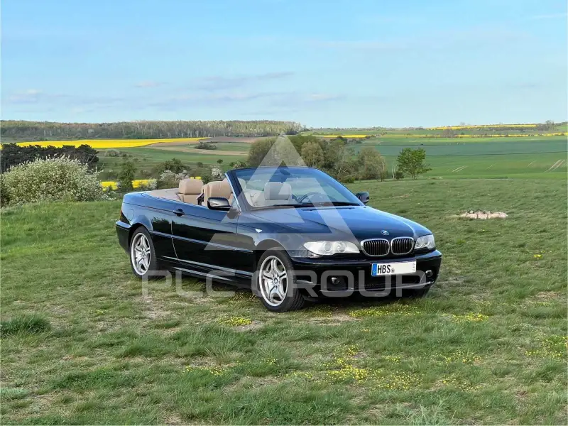 2004 BMW 320