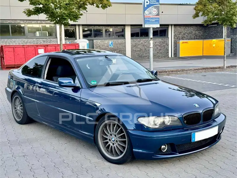 2004 BMW 318