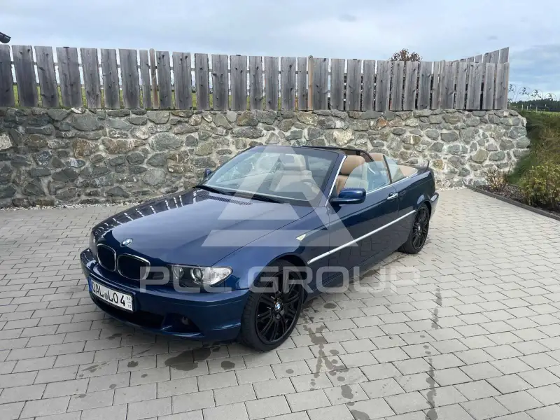 2004 BMW 318