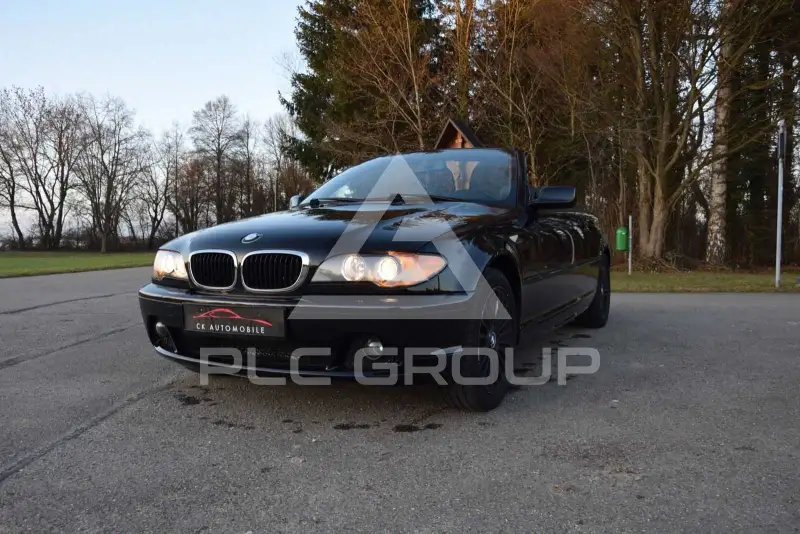 2004 BMW 318