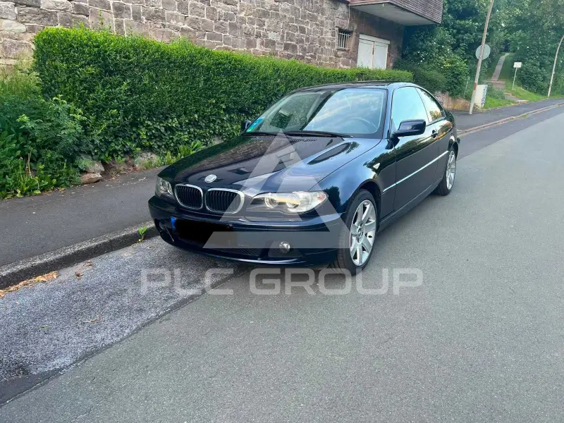 2004 BMW 318