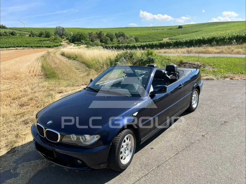 2004 BMW 318