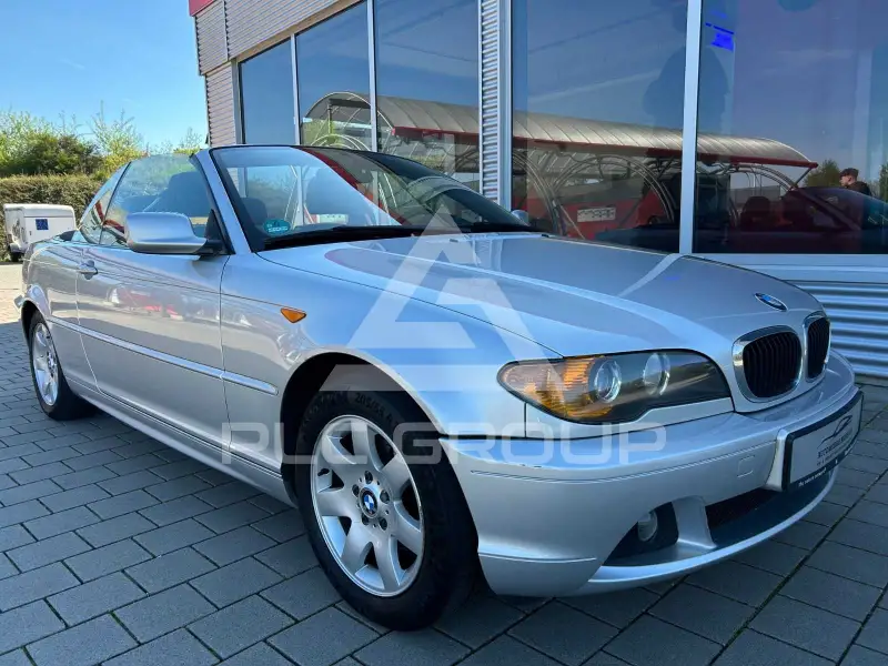 2004 BMW 318