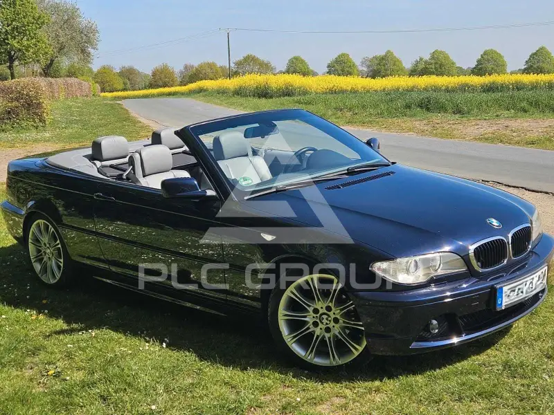 2004 BMW 318