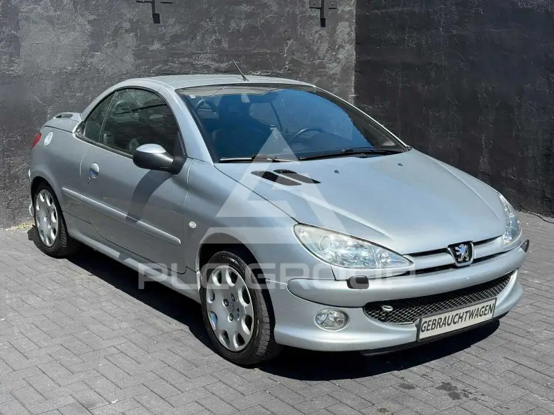 2004 Peugeot 206