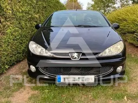 2004 Peugeot 206