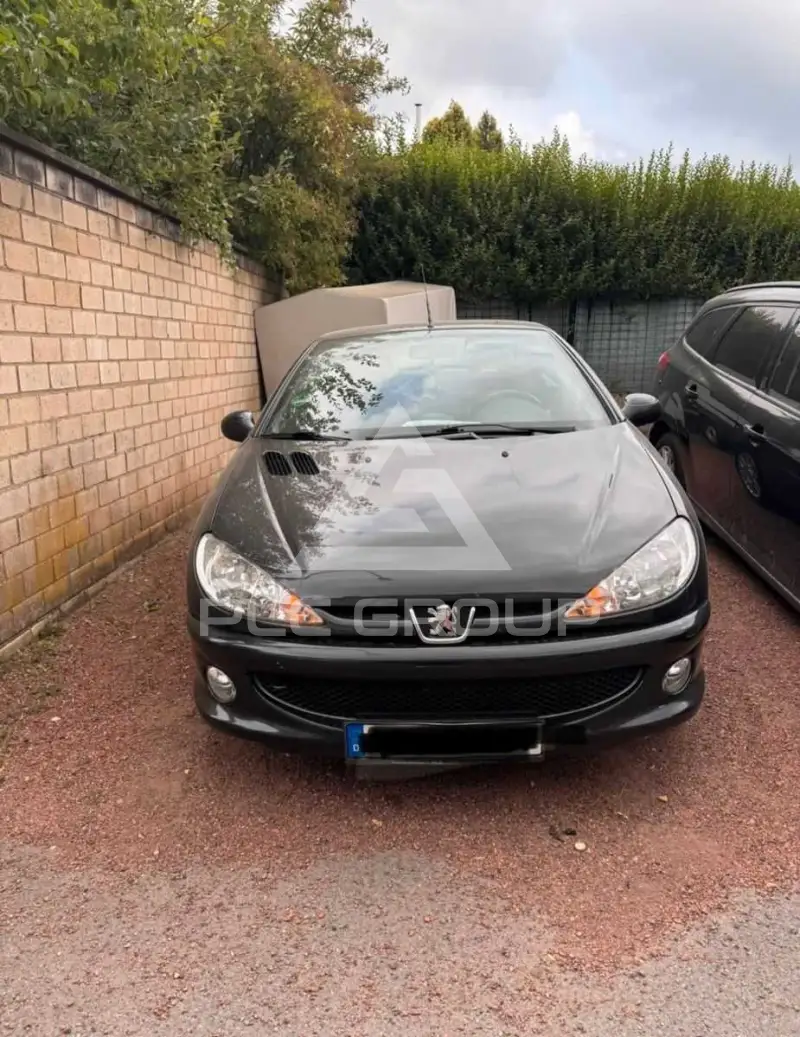 2004 Peugeot 206