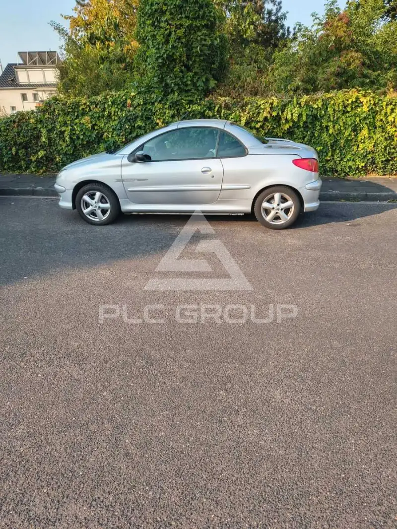 2004 Peugeot 206