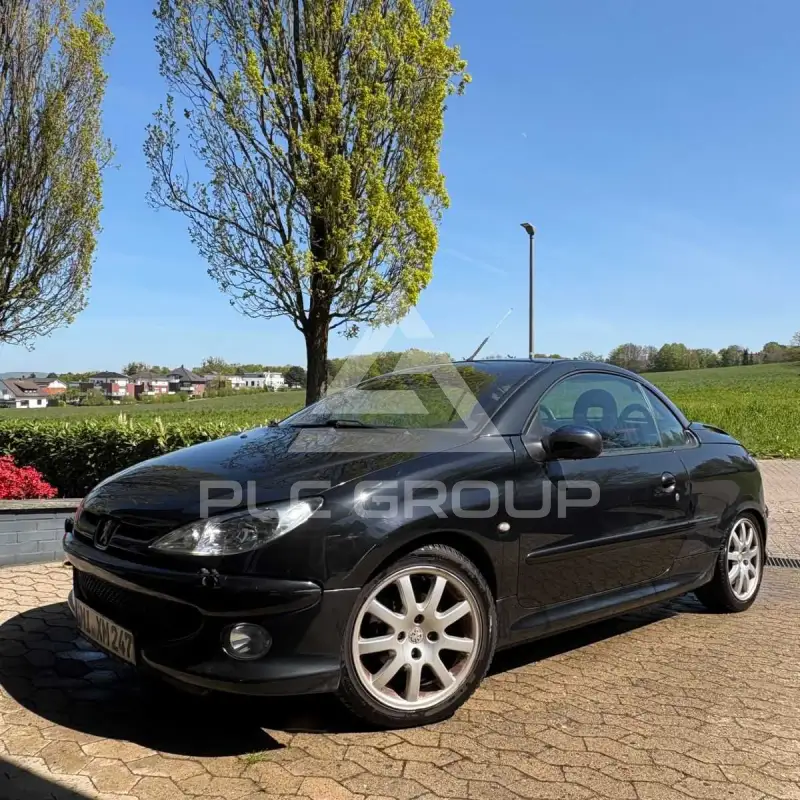 2004 Peugeot 206