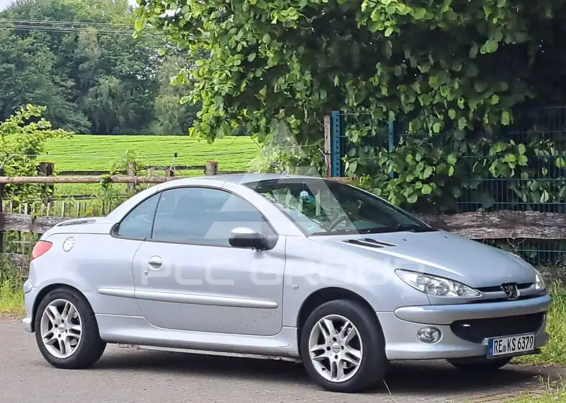 2004 Peugeot 206