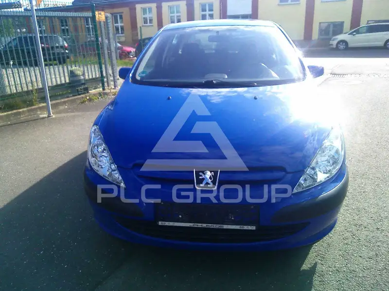 2004 Peugeot 307