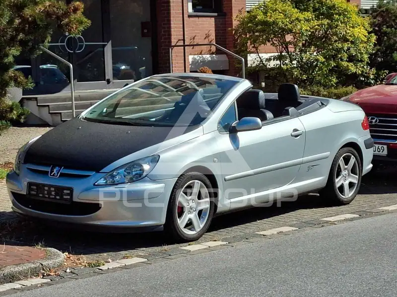 2004 Peugeot 307