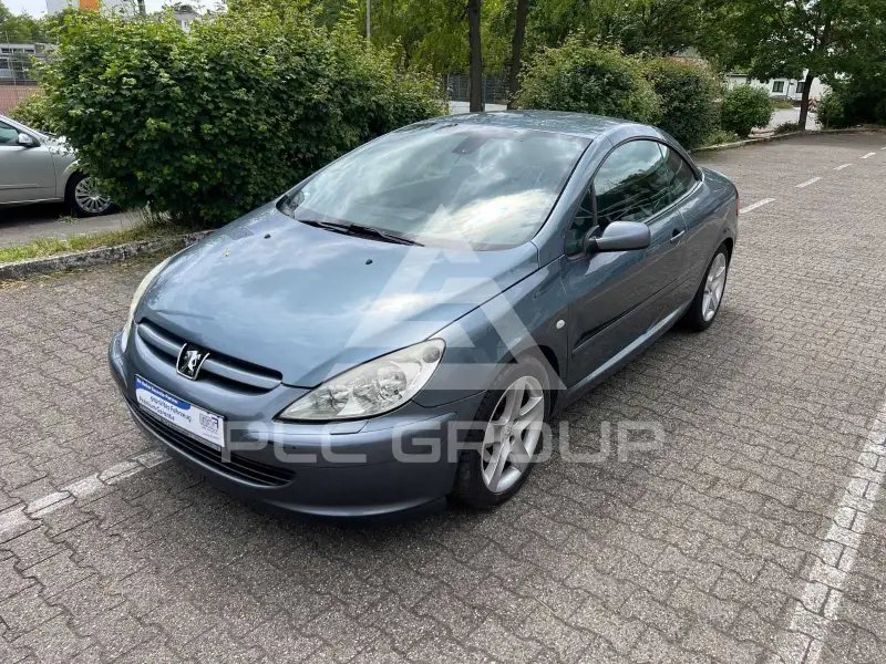 2004 Peugeot 307